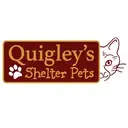 Logo of Quigley's Shelter Pets
