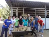 Logo of Saffyre Sanctuary, Inc.