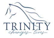 Logo of TRINITY EQUESTRIAN CENTER KIDS KAMP INC