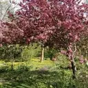 Logo of Gardenview Horticultural Park