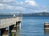 Logo of Estuary & Ocean Science Center (SF State University)