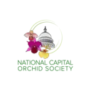 Logo of NATIONAL CAPITAL ORCHID SOCIETY INC