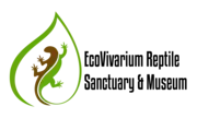 Logo of EcoVivarium