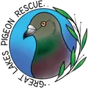 Logo of GREAT LAKES PIGEON RESCUE