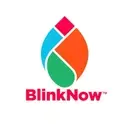 Logo of The BlinkNow Foundation