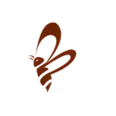 Logo de PLAN B FOUNDATION