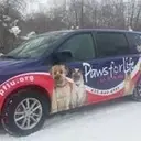 Logo of PAWS FOR LIFE