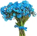 Logo of Blue Flowers Org