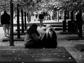 Logo of Minnesota Dignity Collaborative