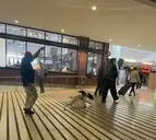 Logo of SEA TSA DHS K9