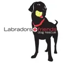 Logo of LABRADORS AND FRIENDS DOG RESCUE GROUP INC