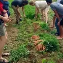 Logo of The Ecology Learning Center