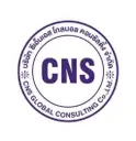Logo of CNS Global Consulting