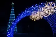 Logo of North Carolina Arboretum Winter Lights