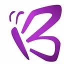 Logo de BRIEZYS BUNCH