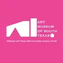 Logo of South Texas Institute for the Arts
