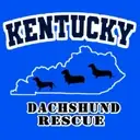 Logo of KENTUCKY DACHSHUND RESCUE INC