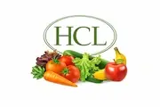 Logo of HEALTHY COMMUNITY LIFESPACES