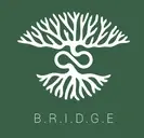 Logo of BRIDGE - Shanshui projects - ASO Togo