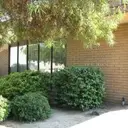 Logo of Fresno County Public Library - Reedley Branch Library