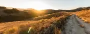 Logo de Santa Monica Mountains Fund
