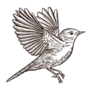 Logo of The Nightingale Group