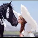 Logo of CHRISTINE MARIE'S STAR RIDERS