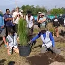 Logo of MORE ACTION FOR REGENERATION INC