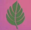 Logo de The Pearlstone Center