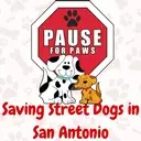 Logo of PAUSE FOR PAWS INC