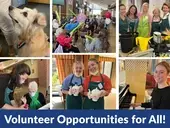 Logo of Waveny LifeCare Network