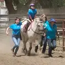 Logo of PARTNERS THERAPEUTIC HORSEMANSHIP INC