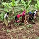 Logo of LOVE EMPOWERS NFP