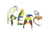 Logo of Parrot Education & Adoption Center