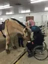 Logo of Courage Reins Equine-Assisted Therapies