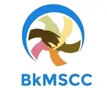 Logo of BROOKLYN MULTI-SERVICE COMMUNITY CENTER