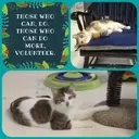 Logo of SASHA FARM INC