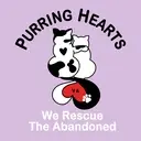 Logo of Purring Hearts VA