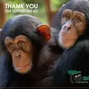 Logo of Tacugama Chimpanzee Sanctuary