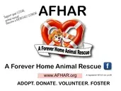 Logo of A Forever Home Animal Rescue, Inc.