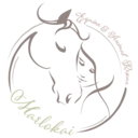 Logo of MARLOKAI EQUINE AND ANIMAL RESCUE INC