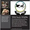 Logo of Wild Souls Wildlife Rescue and Rehabilitation