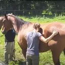 Logo of BUILDING BRIDGES FOUNDATION AT ANDERSON FARM