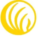 Logo of NAMI San Fernando Valley