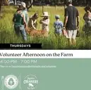 Logo of NOURISHING FOOD FOR THOUGHT ORG