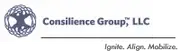 Logo of Consilience Group