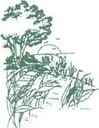 Logo of HELPING OTHER PEOPLE EVOLVE