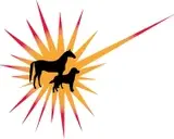 Logo of RED SKYE FOUNDATION INC