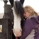 Logo of Gentle Giants Draft Horse Rescue