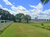 Logo of Maine State Society for the Protection of Animals